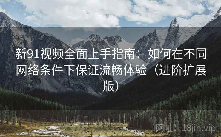 新91视频全面上手指南：如何在不同网络条件下保证流畅体验（进阶扩展版）