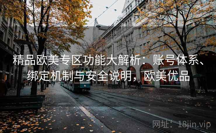 精品欧美专区功能大解析：账号体系、绑定机制与安全说明，欧美优品