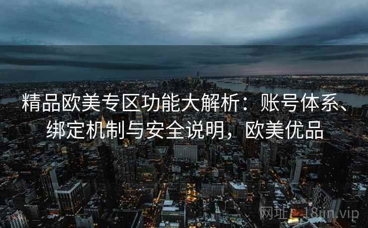 精品欧美专区功能大解析：账号体系、绑定机制与安全说明，欧美优品