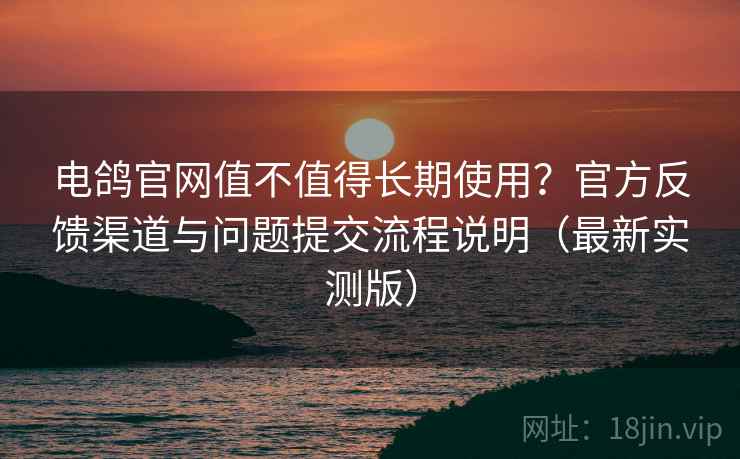 电鸽官网值不值得长期使用？官方反馈渠道与问题提交流程说明（最新实测版）