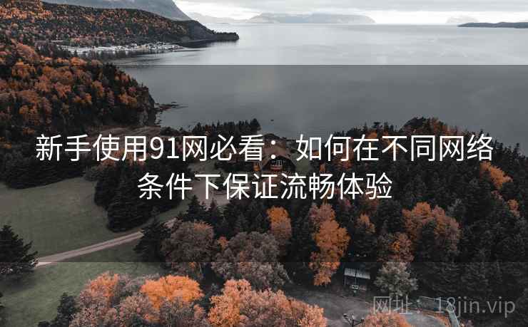 新手使用91网必看：如何在不同网络条件下保证流畅体验