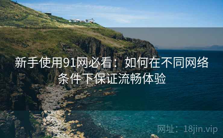 新手使用91网必看：如何在不同网络条件下保证流畅体验