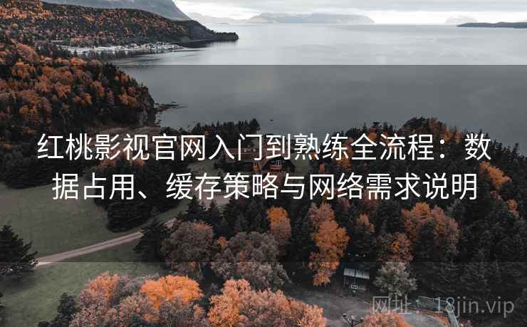 红桃影视官网入门到熟练全流程:数据占用、缓存策略与网络需求说明 红桃影视官网入门到熟练全流程:数据占用、缓存策略与网络需求说明